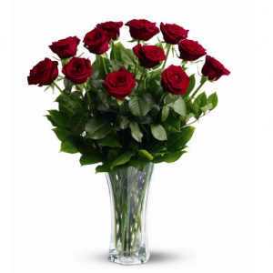 一打優質紅玫瑰