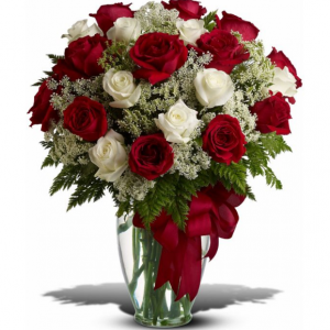 紅白玫瑰 - Deluxe