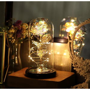 VUDECO 玫瑰花裝飾 LED 燈 情人節好禮 @ Amazon