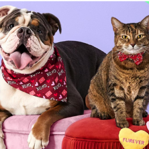 Chewy - Buy 1, Get 1 50% Off Select Valentine's Day Products 