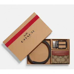 ボックスド カード ケース アンド ベルト ギフト セット カラーブロック シグネチャー キャンバス