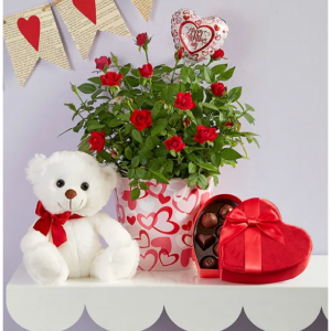 一束愛玫瑰植物；大杯加巧克力