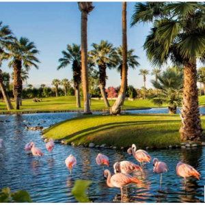 $369 & up – JW Marriott Palm Desert stay w/$100 resort credit @Travelzoo