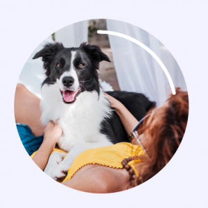 Meet CarePlus! A Pet-First Approach to Wellness & Insurance @ Chewy