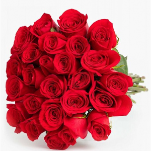 Flowers with Free Delivery @ 1 Stop Florists