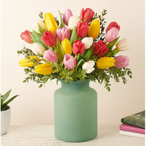 Rainbow 五颜六色的郁金香,Deluxe