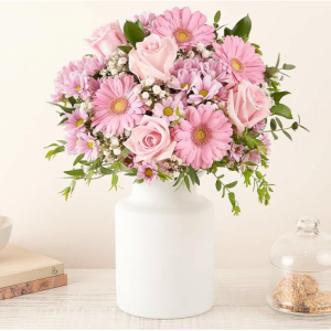 粉红玫瑰和非洲菊,Premium