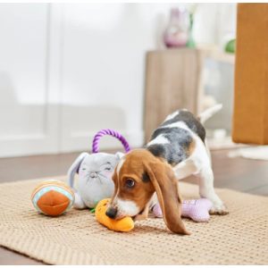 Buy One, Get One 50% Off Select Easter Toys @ Chewy