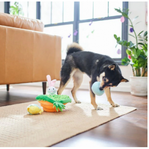 Frisco 复活节篮子捉迷藏拼图毛绒吱吱作响的狗玩具，小号/中号