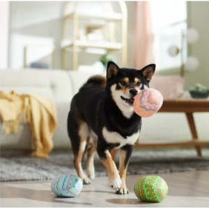 Frisco 复活节彩蛋毛绒吱吱狗玩具，中号，3 件