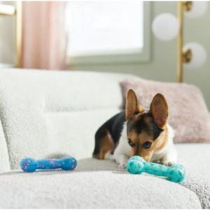 Frisco 复活节 TPR 骨头吱吱作响的狗玩具，中号/大号，2 件