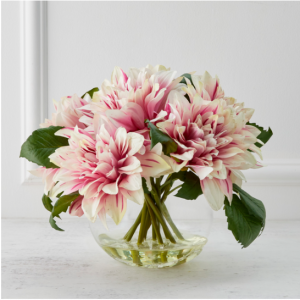 Z Gallerie 玻璃大丽花 - 腮红