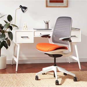 Steelcase Series 1 Office Chair, Carpet Casters, Graphite/Pumpkin @ Amazon