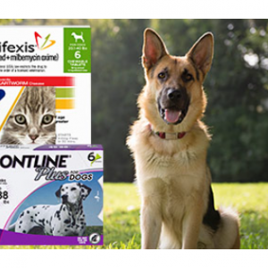 50% off Flea & Tick Products with Autoship @ 1-800-PetMeds