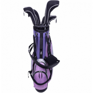 $100 off Nancy Lopez 11-piece Women's Golf Club Set with Stand Bag @Costco