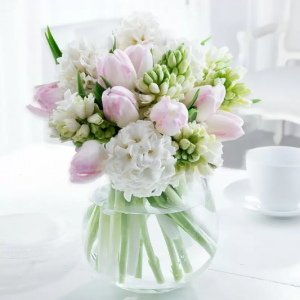 郁金香和风信子，Standard