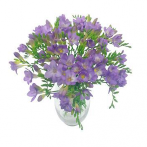 丁香魅力小苍兰花束