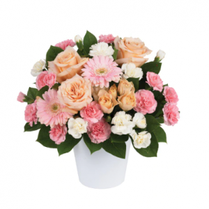 Mother's Day Flowers from AU$71.00 @ Petals