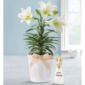 复活节祝福百合 - 百合与小雕像