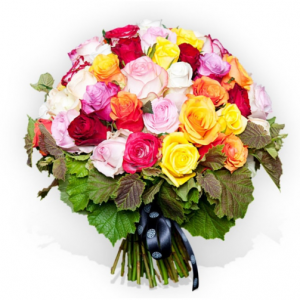 黄色、橙色、红色中号玫瑰