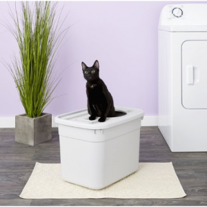 Chewy Select Cat litter Box On Sale 