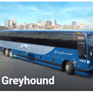 Greyhound Lines -  休斯敦到圣安东尼奥巴士之旅，低至$28