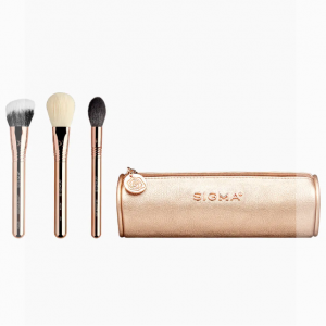 BLOOM + GLOW BRUSH SET