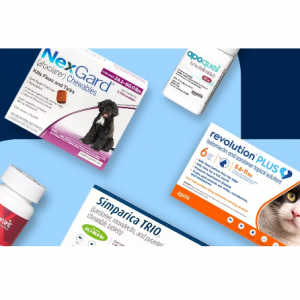 Chewy Pharmacy Pet Medications Sale 