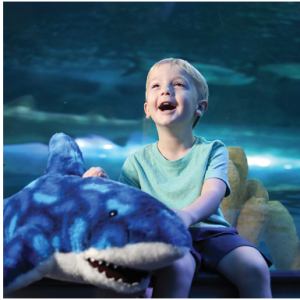 Aquarium + 1 Attraction: Adult (12+) for $49.99 @Ripley's Myrtle Beach 