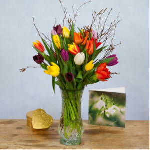 Mixed Tulips for Mum, Large