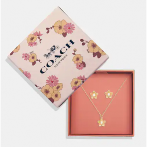 Coach Wildflower Earrings And Necklace Set