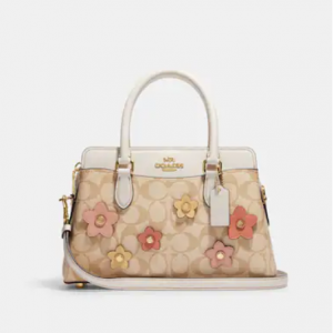 Coach Mini Darcie Carryall In Signature Canvas With Floral Applique