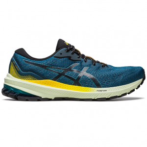 ASICS GT-1000 11 TR NATURE BATHING 男士运动鞋