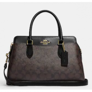 ダーシー キャリーオール・シグネチャー キャンバス