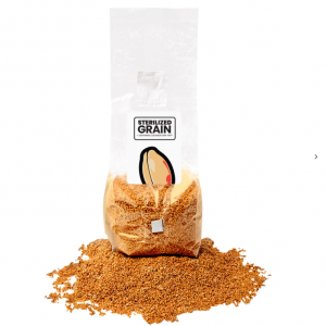 STERILIZED GRAIN FOR MUSHROOM SPAWN