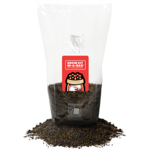 MUSHROOM GROW KIT IN-A-BAG™