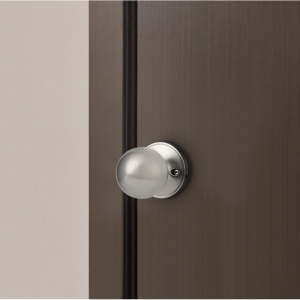 Dummy 适用于法式门圆形球形把手