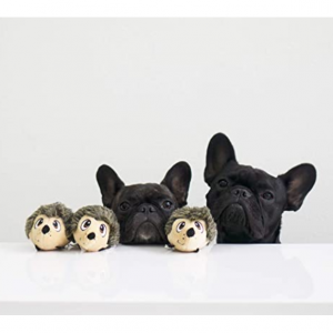 Outward Hound 刺蝟造型狗狗玩具球3個 @ Amazon