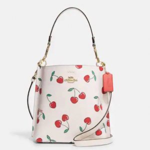70% Off Coach Mollie Bucket 22 With Heart Cherry Print @ Coach Outlet