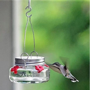 Nature's Way Bird Products MJF1 Nature's Way Mason Jar Hummingbird Dish Feeder, Clear @ Amazon