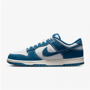 Nike Dunk Low Retro SE 男子运动鞋