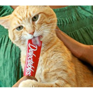 Hartz Delectables Squeeze Up Tuna & Salmon Lickable Cat Treats, 0.5-oz tube, 32 count @ Chewy