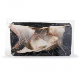 Hiramasa 鰤鱼下巴 冷冻 16 盎司