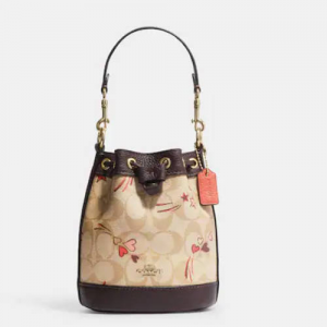 Extra 15% Off Coach Mini Dempsey Bucket Bag In Signature Canvas With Heart And Star Print