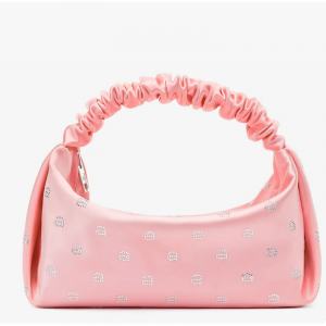 Alexander Wang 迷你饭盒包