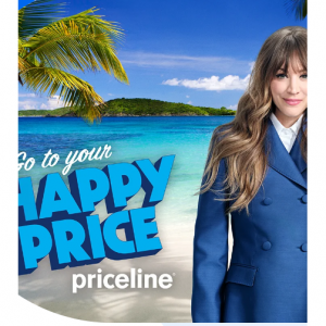 Book 2 rooms or more, receive a 15% discount @Priceline