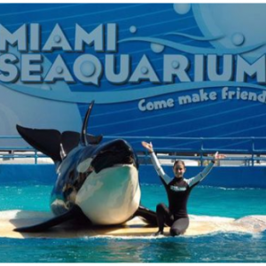 Miami Seaquarium and Zoo Miami Package - adult for $70.95 @Trusted Tours and Attractions