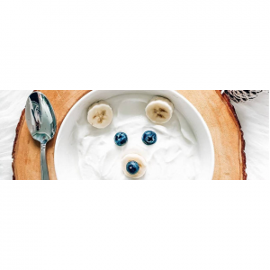 Yoplait vs. Activia vs. Dannon vs. Danone: Who is Best for Yogurt?