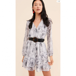 19 Cooper Python Print Mini Dress