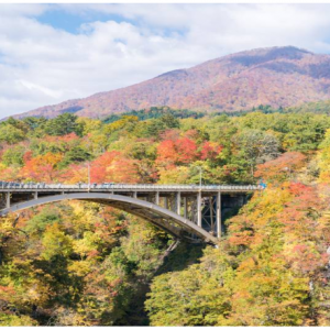 途风 - 赏枫观光专列： 眺望亚加华大峡谷全景+阿岗昆公园赏枫必打卡地